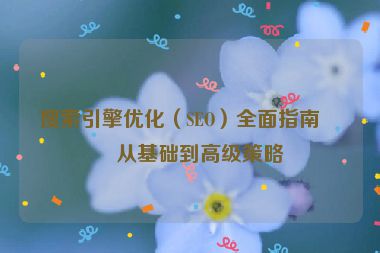 搜索引擎優(yōu)化（SEO）全面指南，從基礎(chǔ)到高級(jí)策略
