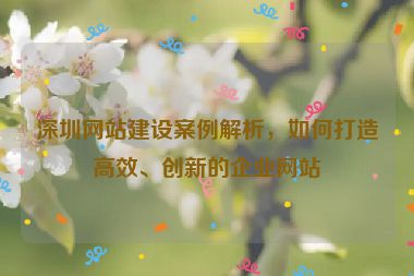 深圳網(wǎng)站建設(shè)案例解析，如何打造高效、創(chuàng)新的企業(yè)網(wǎng)站