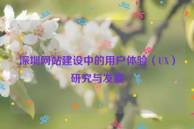 深圳網(wǎng)站建設(shè)中的用戶體驗（UX）研究與發(fā)展