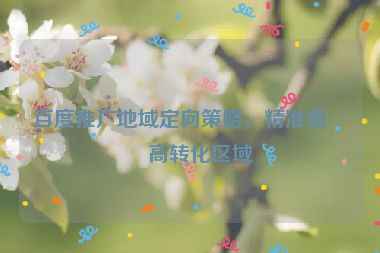 百度推廣地域定向策略，精準(zhǔn)鎖定高轉(zhuǎn)化區(qū)域