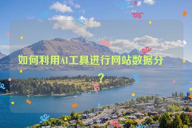 如何利用AI工具進(jìn)行網(wǎng)站數(shù)據(jù)分析？