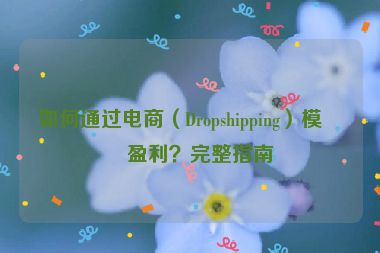 如何通過電商（Dropshipping）模式盈利？完整指南