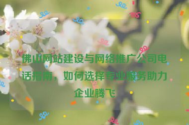 佛山網(wǎng)站建設(shè)與網(wǎng)絡(luò)推廣公司電話指南，如何選擇專業(yè)服務(wù)助力企業(yè)騰飛