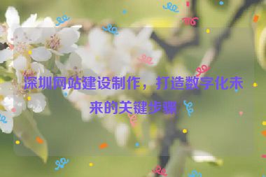 深圳網(wǎng)站建設(shè)制作，打造數(shù)字化未來(lái)的關(guān)鍵步驟