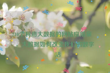 210個利用大數(shù)據(jù)的網(wǎng)站應(yīng)用案例，大數(shù)據(jù)如何改變我們的數(shù)字生活