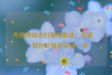 外貿(mào)網(wǎng)站支付系統(tǒng)集成，打造全球化交易的關(guān)鍵一步