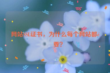 網(wǎng)站SSL證書，為什么每個(gè)網(wǎng)站都需要？