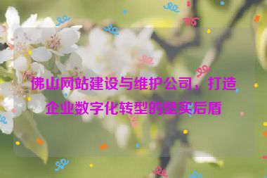 佛山網(wǎng)站建設(shè)與維護(hù)公司，打造企業(yè)數(shù)字化轉(zhuǎn)型的堅實后盾