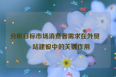 分析目標(biāo)市場消費(fèi)者需求在外貿(mào)網(wǎng)站建設(shè)中的關(guān)鍵作用