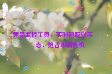 競品監(jiān)控工具，實(shí)時(shí)追蹤對手動(dòng)態(tài)，搶占市場先機(jī)