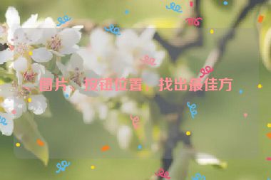 、圖片、按鈕位置，找出最佳方案