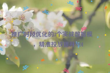 推廣時(shí)段優(yōu)化的3個(gè)實(shí)戰(zhàn)數(shù)據(jù)模型，精準(zhǔn)投放提升ROI
