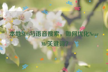 本地SEO與語(yǔ)音搜索，如何優(yōu)化Near Me關(guān)鍵詞？