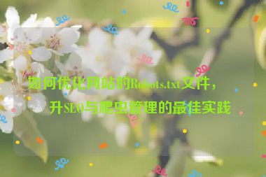 如何優(yōu)化網(wǎng)站的Robots.txt文件，提升SEO與爬蟲管理的最佳實踐