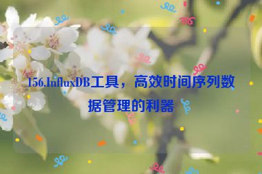 156.InfluxDB工具，高效時(shí)間序列數(shù)據(jù)管理的利器