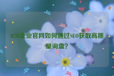 B2B企業(yè)官網(wǎng)如何通過(guò)SEO獲取高質(zhì)量詢盤(pán)？
