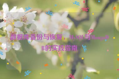 數(shù)據(jù)庫(kù)備份與恢復(fù)，MySQL與MongoDB的實(shí)踐指南