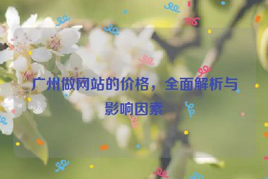 廣州做網(wǎng)站的價格，全面解析與影響因素