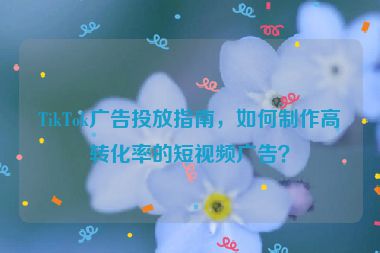TikTok廣告投放指南，如何制作高轉(zhuǎn)化率的短視頻廣告？