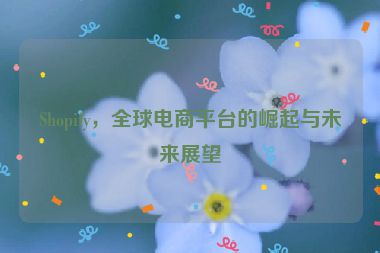 Shopify，全球電商平臺的崛起與未來展望