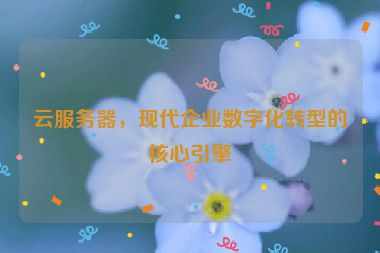云服務(wù)器，現(xiàn)代企業(yè)數(shù)字化轉(zhuǎn)型的核心引擎