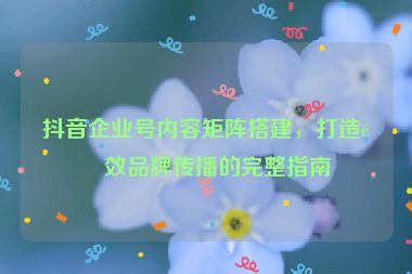 抖音企業(yè)號內(nèi)容矩陣搭建，打造高效品牌傳播的完整指南