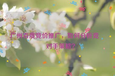 廣州百度競(jìng)價(jià)推廣，如何分析競(jìng)爭(zhēng)對(duì)手策略？