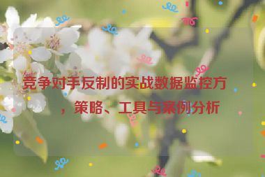 競(jìng)爭(zhēng)對(duì)手反制的實(shí)戰(zhàn)數(shù)據(jù)監(jiān)控方案，策略、工具與案例分析