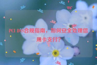 PCI DSS合規(guī)指南，如何安全處理信用卡支付？