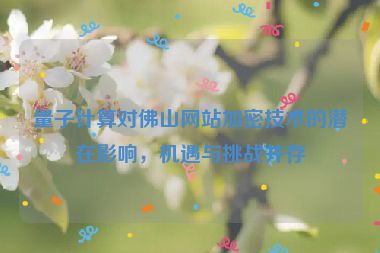 量子計算對佛山網(wǎng)站加密技術(shù)的潛在影響，機遇與挑戰(zhàn)并存