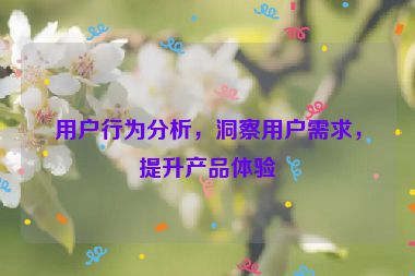 用戶行為分析，洞察用戶需求，提升產(chǎn)品體驗(yàn)