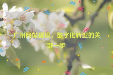 廣州網(wǎng)站建設(shè)，數(shù)字化轉(zhuǎn)型的關(guān)鍵一步