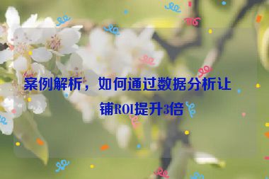 案例解析，如何通過數(shù)據(jù)分析讓店鋪ROI提升3倍