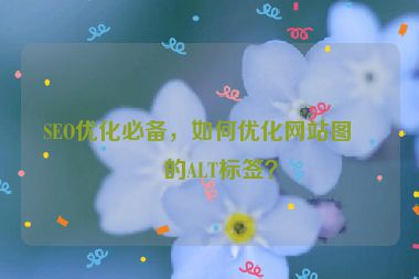 SEO優(yōu)化必備，如何優(yōu)化網(wǎng)站圖片的ALT標(biāo)簽？