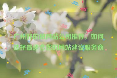 廣州好的做網(wǎng)站公司推薦，如何選擇最適合您的網(wǎng)站建設(shè)服務(wù)商