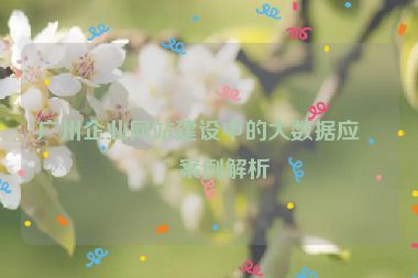 廣州企業(yè)網(wǎng)站建設中的大數(shù)據(jù)應用案例解析