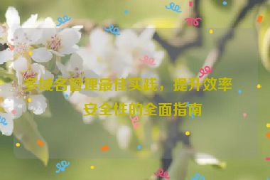 多域名管理最佳實踐，提升效率與安全性的全面指南