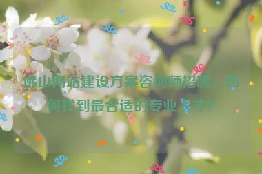 佛山網站建設方案咨詢師招聘，如何找到最合適的專業(yè)人才？