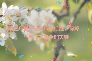 第三方插件安全審核標(biāo)準(zhǔn)，保障數(shù)字生態(tài)安全的關(guān)鍵