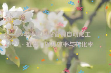 2023年十大網(wǎng)站營銷自動化工具推薦，提升效率與轉(zhuǎn)化率
