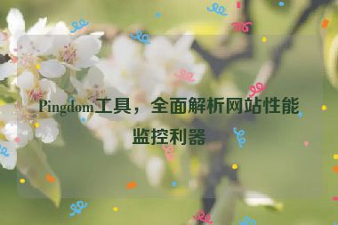 Pingdom工具，全面解析網(wǎng)站性能監(jiān)控利器