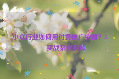 小眾行業(yè)如何用付費(fèi)推廣突圍？3個(gè)實(shí)戰(zhàn)案例拆解