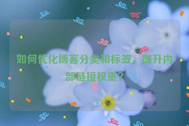 如何優(yōu)化博客分類和標(biāo)簽，提升內(nèi)部鏈接權(quán)重？