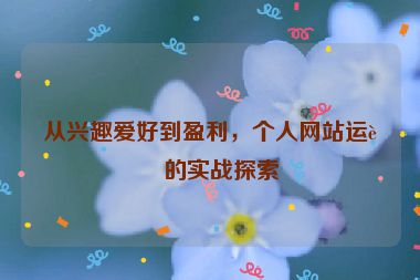 從興趣愛(ài)好到盈利，個(gè)人網(wǎng)站運(yùn)營(yíng)的實(shí)戰(zhàn)探索