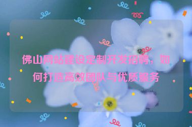 佛山網(wǎng)站建設(shè)定制開(kāi)發(fā)招聘，如何打造高效團(tuán)隊(duì)與優(yōu)質(zhì)服務(wù)