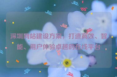 深圳網(wǎng)站建設(shè)方案，打造高效、智能、用戶體驗(yàn)卓越的在線平臺(tái)