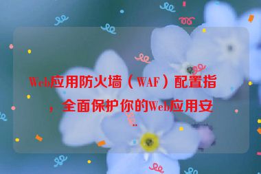 Web應(yīng)用防火墻（WAF）配置指南，全面保護(hù)你的Web應(yīng)用安全