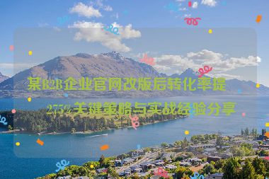 某B2B企業(yè)官網(wǎng)改版后轉化率提升275%關鍵策略與實戰(zhàn)經(jīng)驗分享