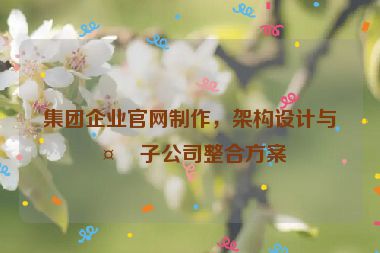 集團(tuán)企業(yè)官網(wǎng)制作，架構(gòu)設(shè)計(jì)與多子公司整合方案