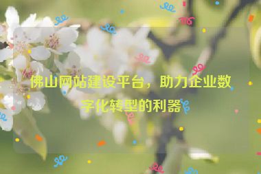 佛山網站建設平臺，助力企業(yè)數(shù)字化轉型的利器